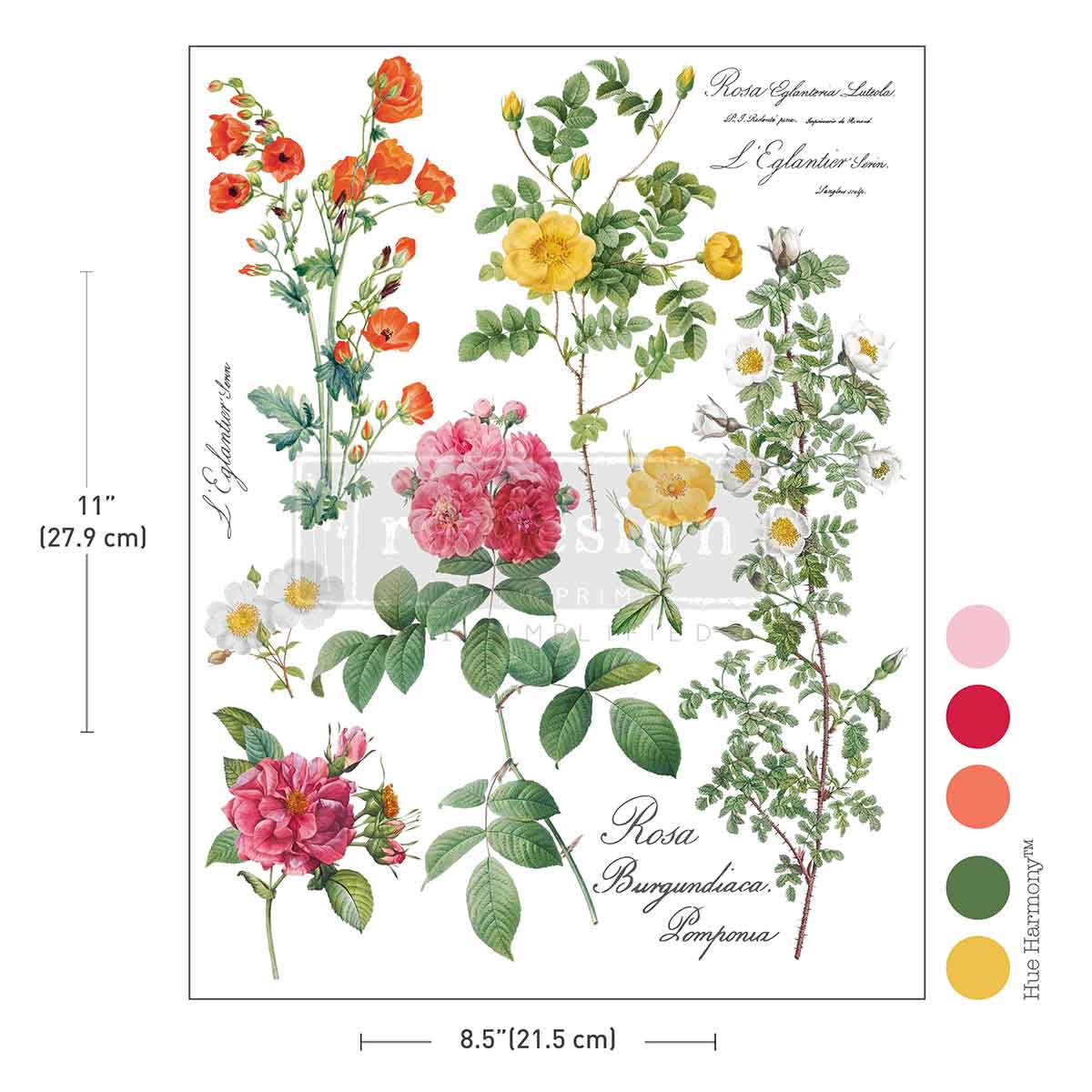 Re-Design With Prima® Middy H2O Transfers - Poetry in Petals 8.5x11"