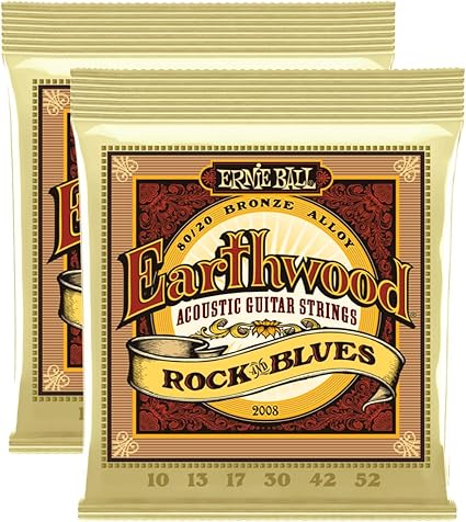 ERNIE BALL EARTHWOOD ACOUSTIC ROCK& BLUES