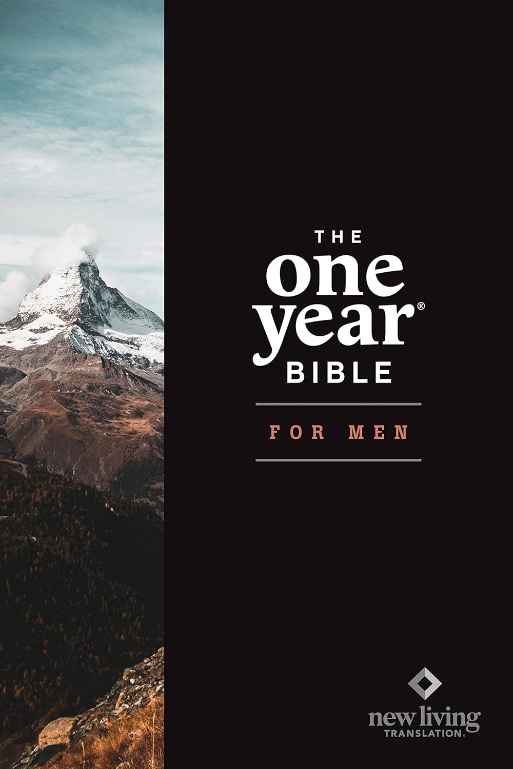 NLT The One Year Bible for Men Softcover