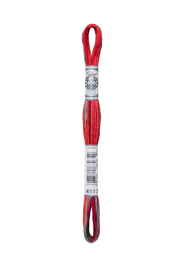 DMC Coloris 6-Strand 4500