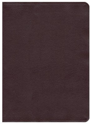 NKJV The Scofield Study Bible III