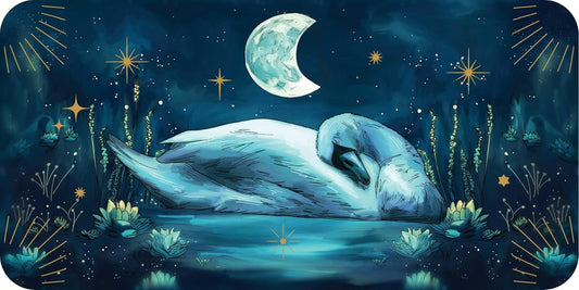 Sleeping Spirits : Midnight Messages for Peaceful Rest