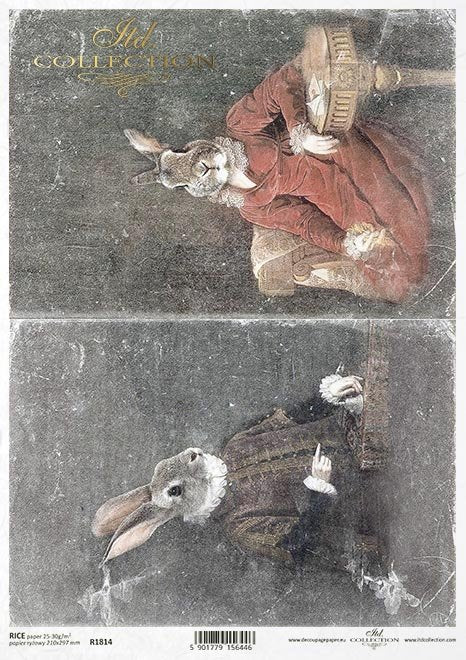 ITD Collection : Bunny Portrait II