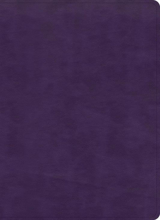 HOlman KJV Bible Plum Leathertouch