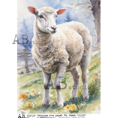 AB Studios - Gentle Lamb Watercolor A4 Rice Paper