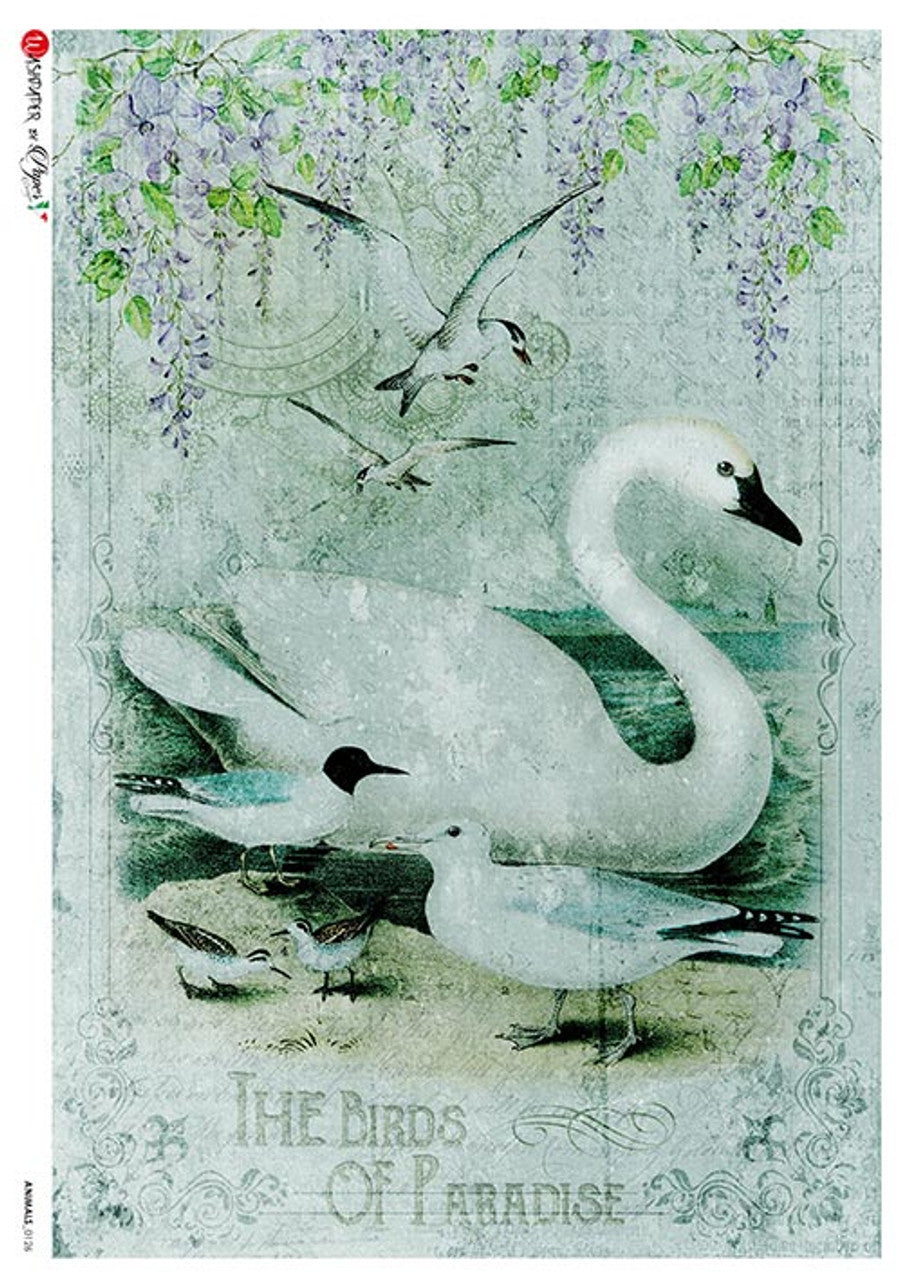Paper Designs - Swan of Paradise A4 & A2