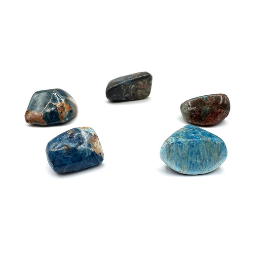 APATITE BLUE TUMBLED STONES