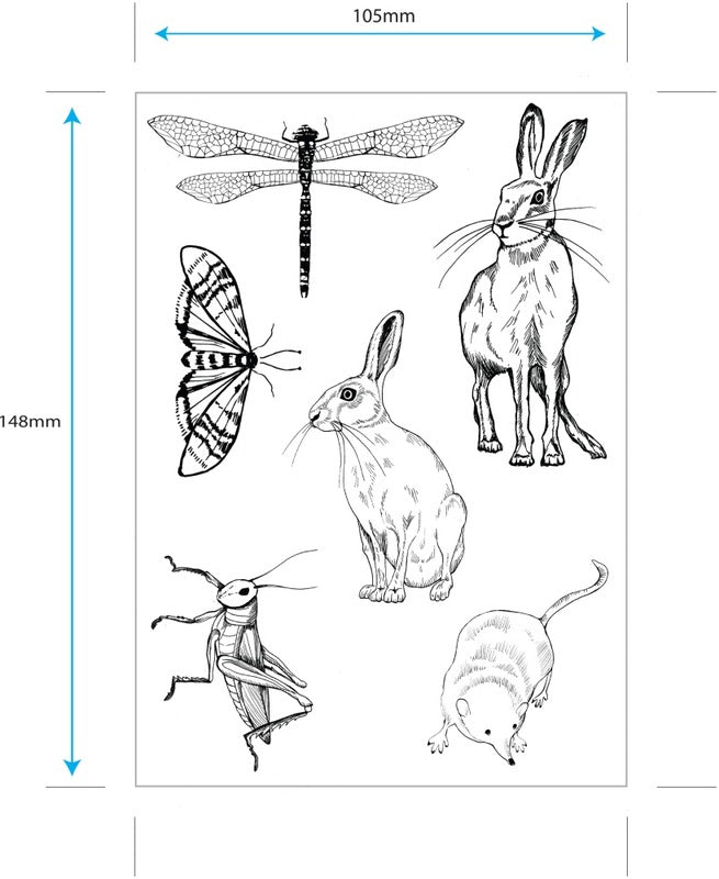 Craft Consortium - Clear Stamp Wildflower Meadow