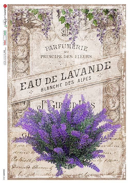 Paper Designs - Country 0060