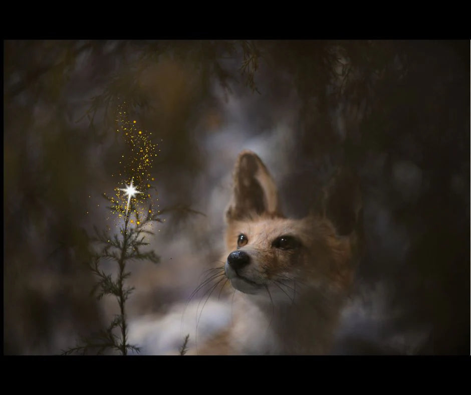 Painting Lady Designs - Make a Wish 24x36"