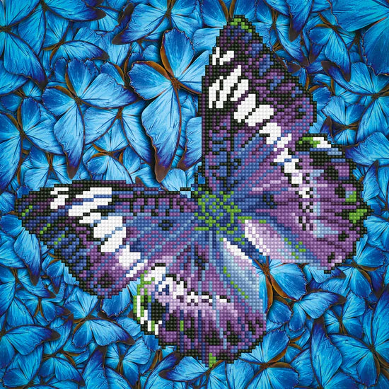 Diamond Dotz - Flutterby Mauve