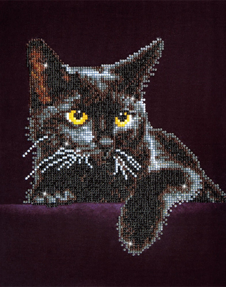Diamond Dotz: Midnight Cat