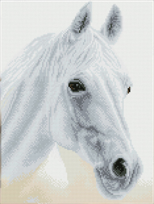 Diamond Dotz Arabian Beauty