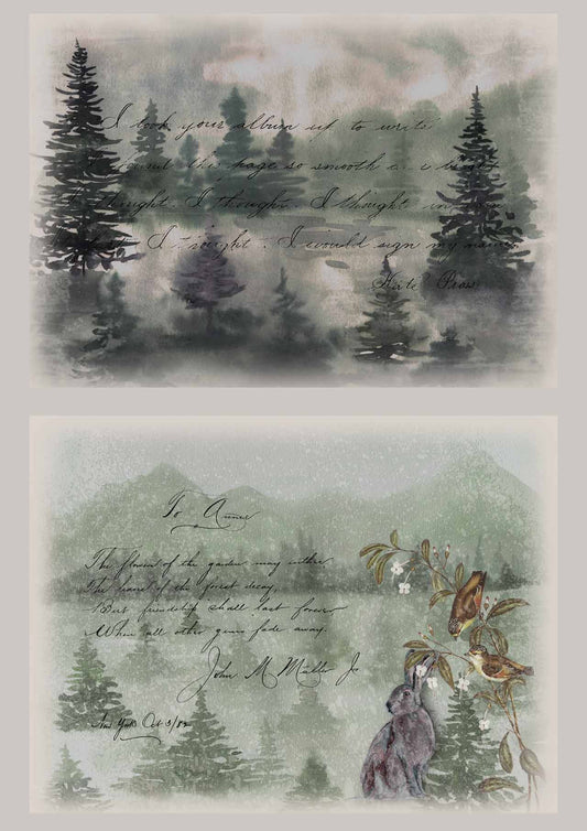 Dainty and the Queen Letters From Home A3