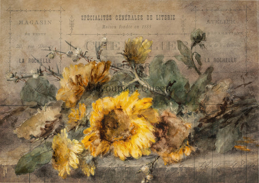 Decoupage Queen : Rochelle