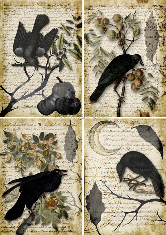 Decoupage Queen Vellum A4 Raven Grimoire