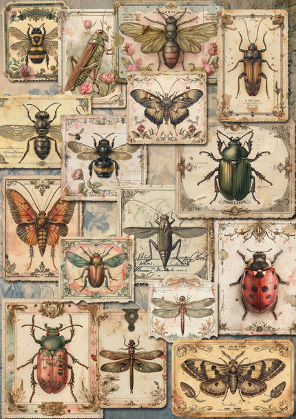 Decoupage Queen - Iveta Ziedina, Insects A4 Rice Paper