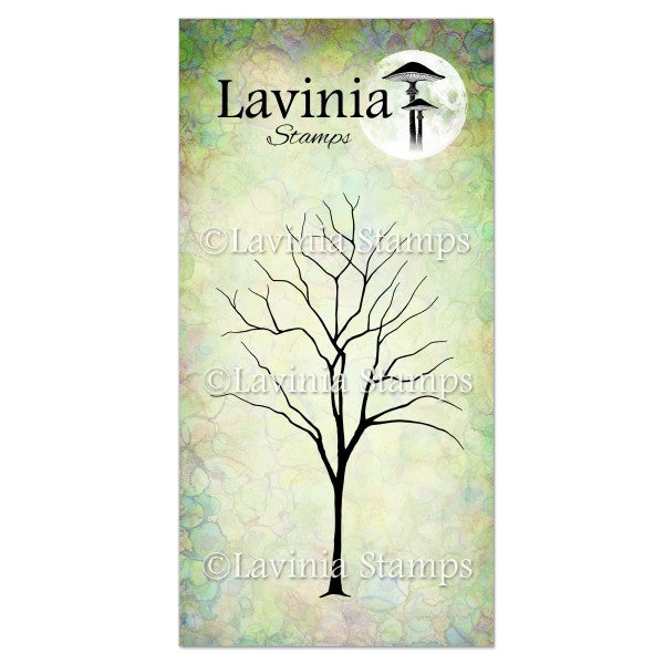 Lavinia Stamp Elm