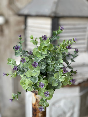 12" idlewood Bush Purple