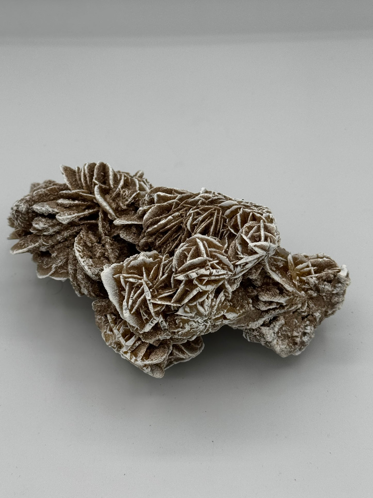 Dessert Rose Cluster Large