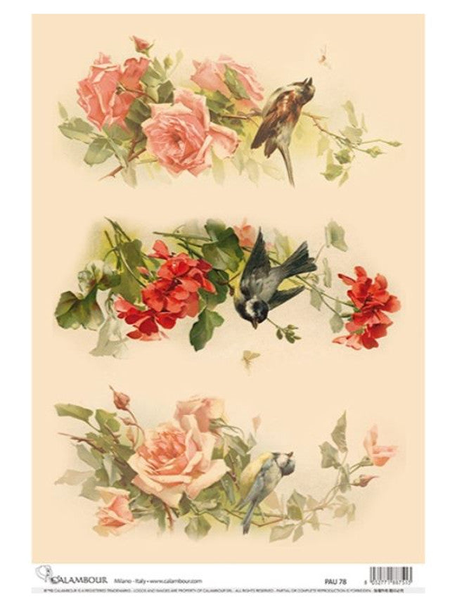 Calambour : Catherine Klein Vintage Rose