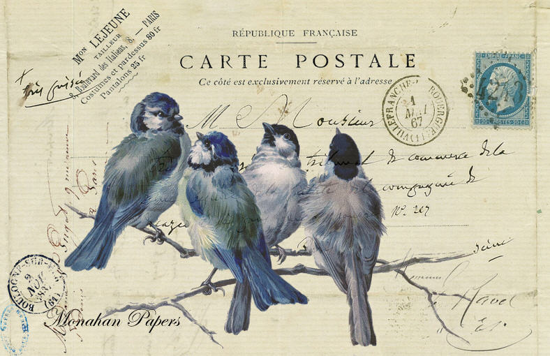 Monahan Papers - Birds, Nests & Florals Papers 11x17"