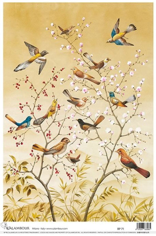 Birds and Berries Decoupage