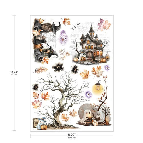 Prima - Bewitched Collection