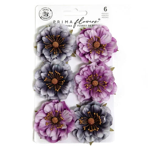 Prima - Bewitched Collection
