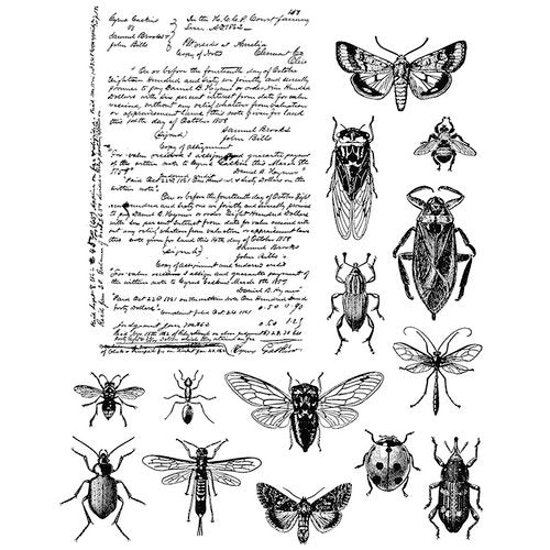 Stampers Anonymous - Tim Holtz : Cling Mounted Rubber Stamps ~ Entomology