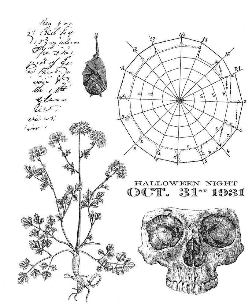 Stampers Anonymous - Tim Holtz : Cling Mounted Rubber Stamps ~ The Obscure