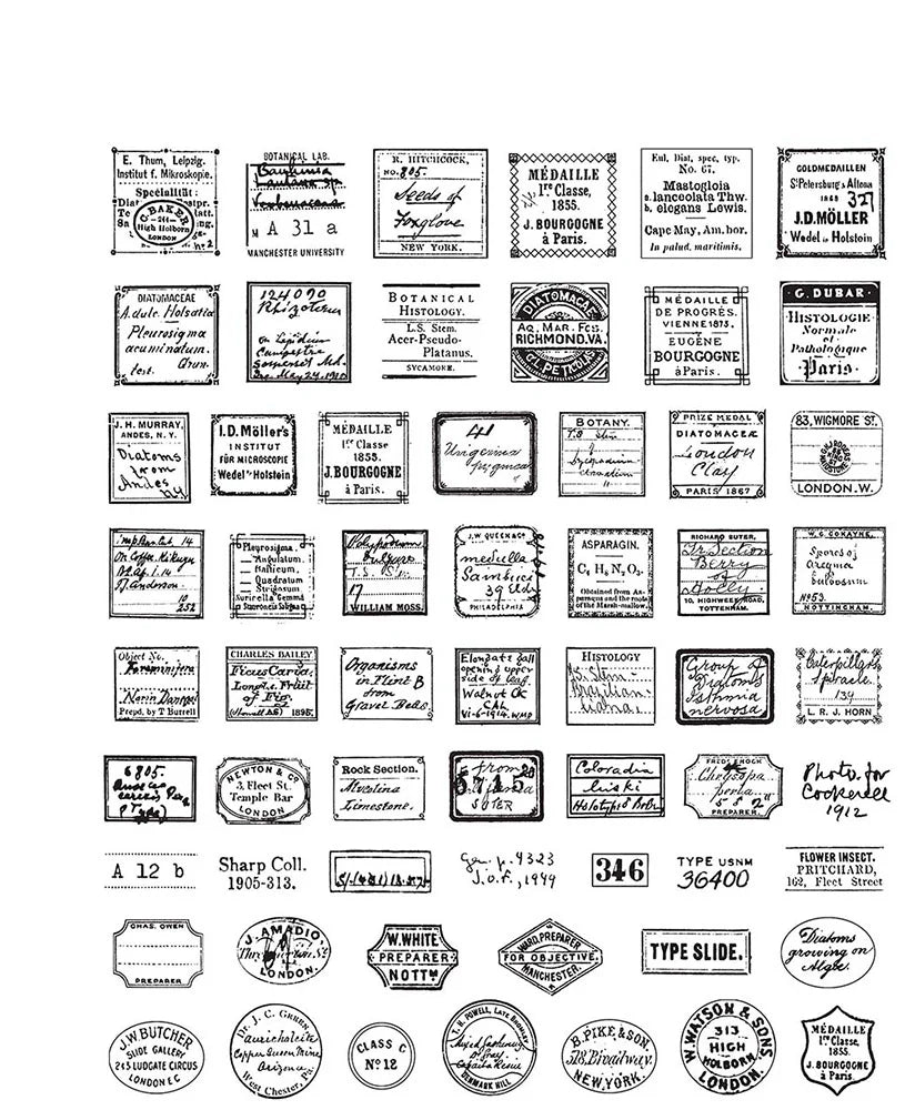 Stamper's Anonymous Tim Holtz Curator Stamp