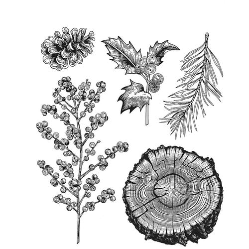 Stampers Anonymous Forest Floor 2 Stamp