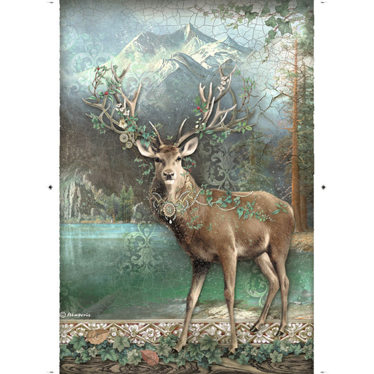 Stamperia - Magic Forest  Collection