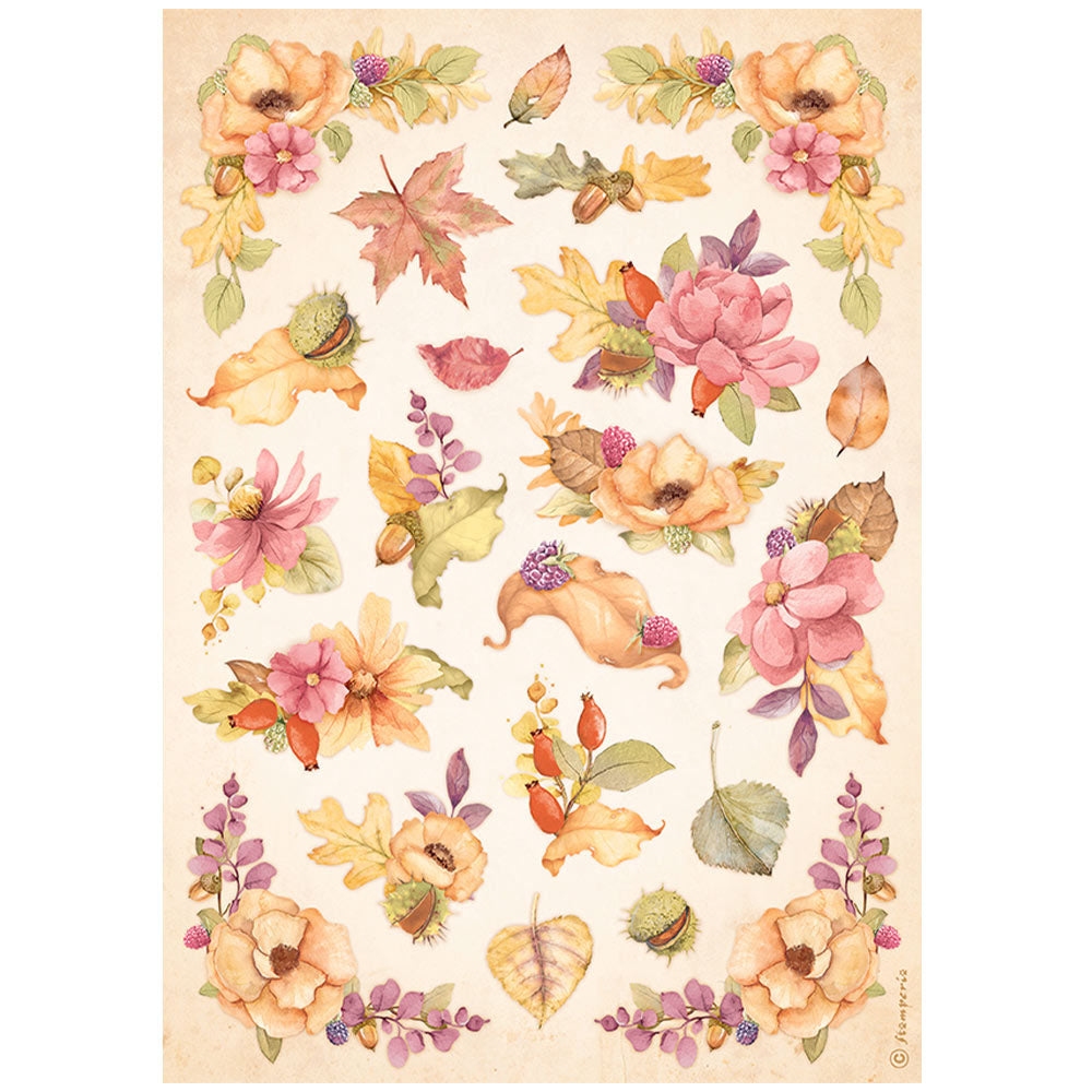 Stamperia ~ Woodland Collection