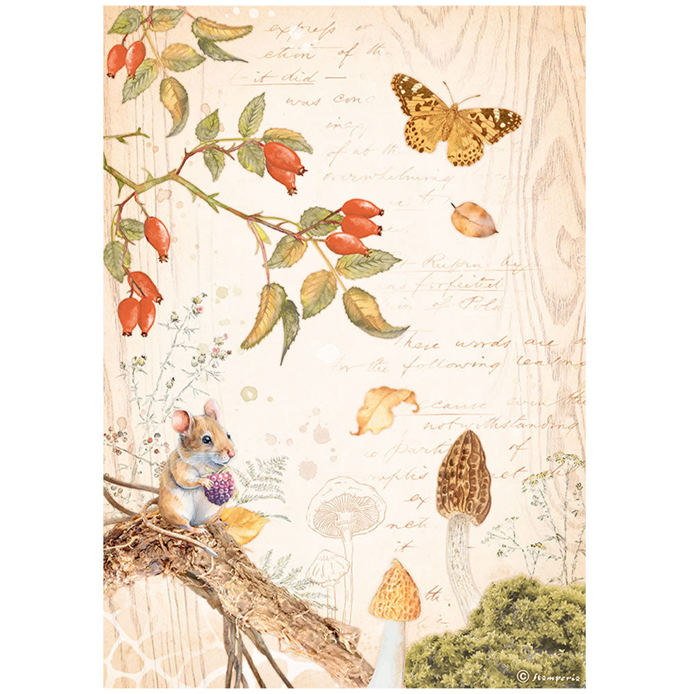 Stamperia ~ Woodland Collection