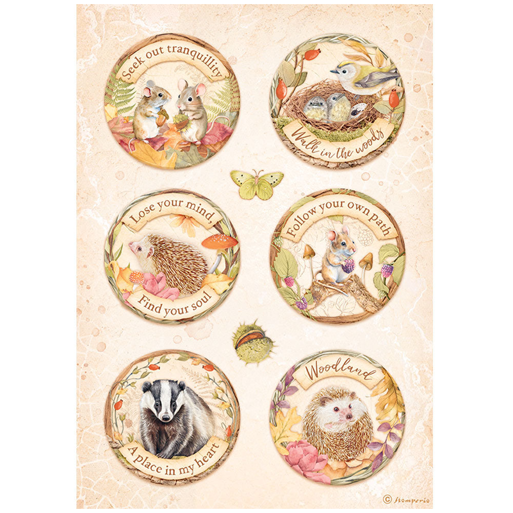 Stamperia ~ Woodland Collection