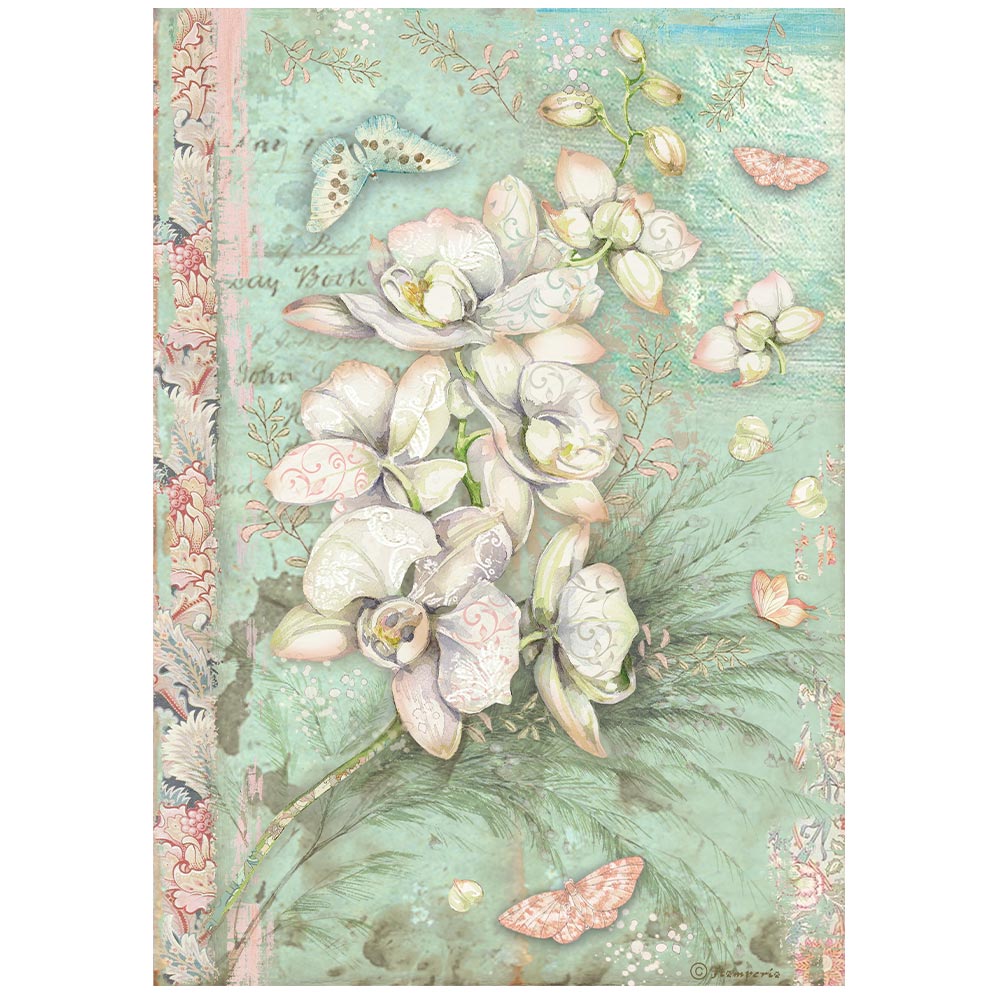 Stamperia - Orchids And Cats Collection