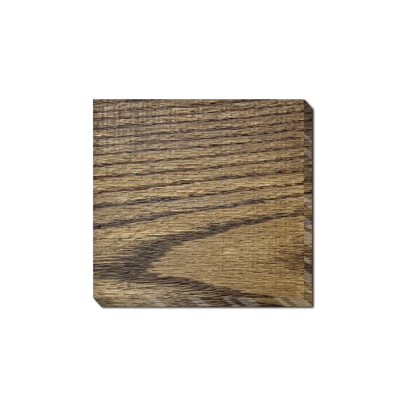 Fusion Mineral Paint™ - Stain & Finishing Oil 237ml