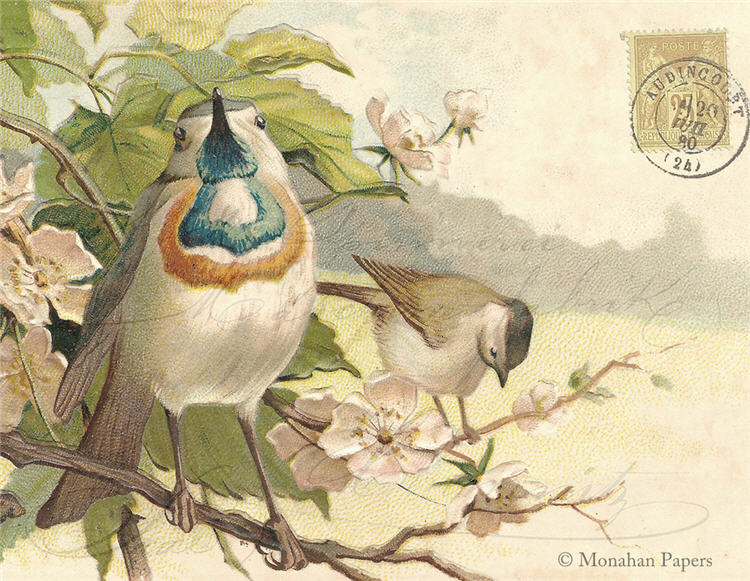Monahan Papers - Birds, Nests & Florals Papers 11x17"