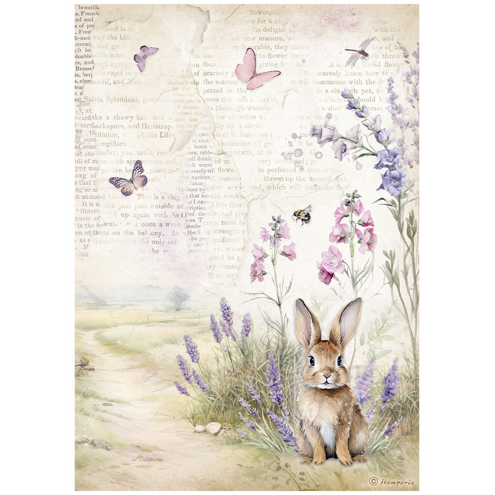 Stamperia - Lavender Collection