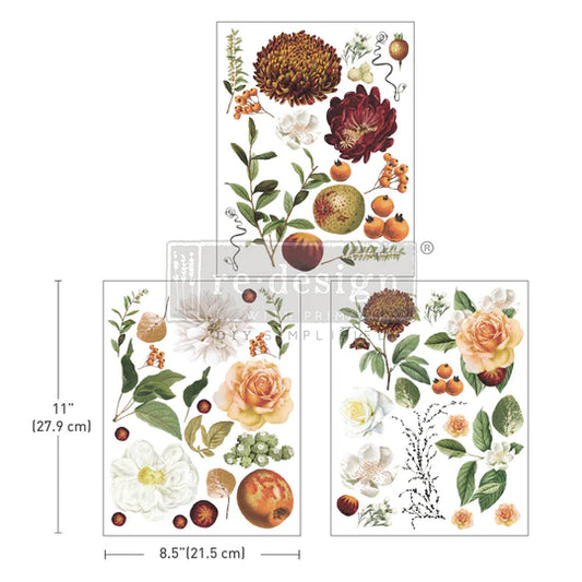 Redesign Middy Transfer - Seasonal Splendor