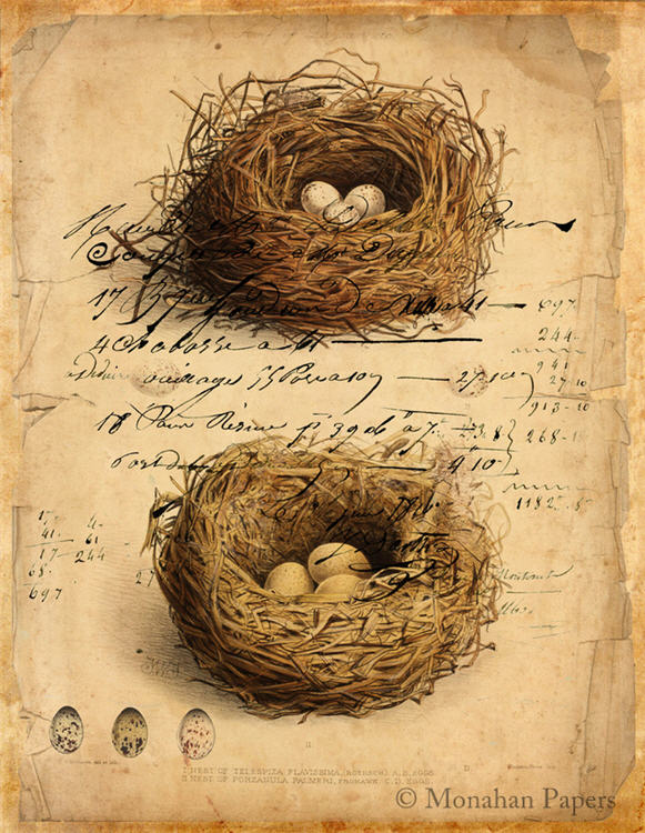 Monahan Papers - Birds, Nests & Florals Papers 11x17"