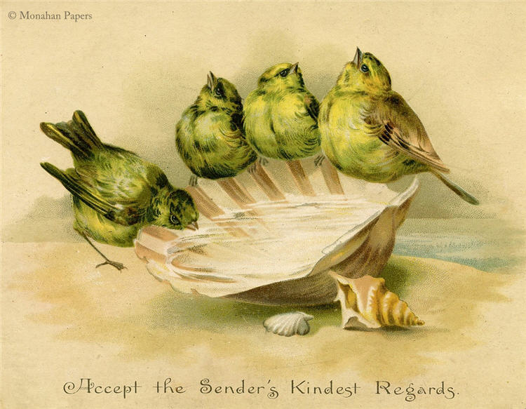 Monahan Papers - Birds, Nests & Florals Papers 11x17"