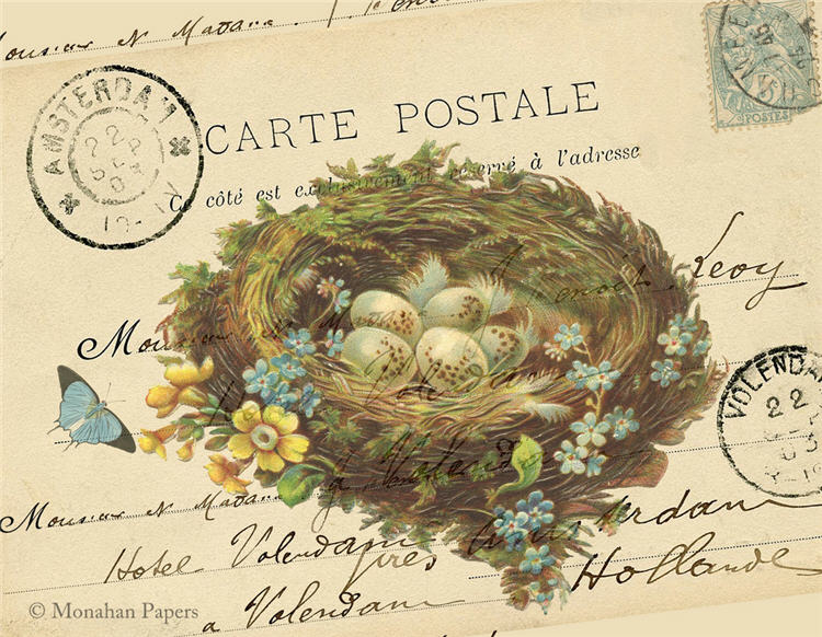 Monahan Papers - Birds, Nests & Florals Papers 11x17"