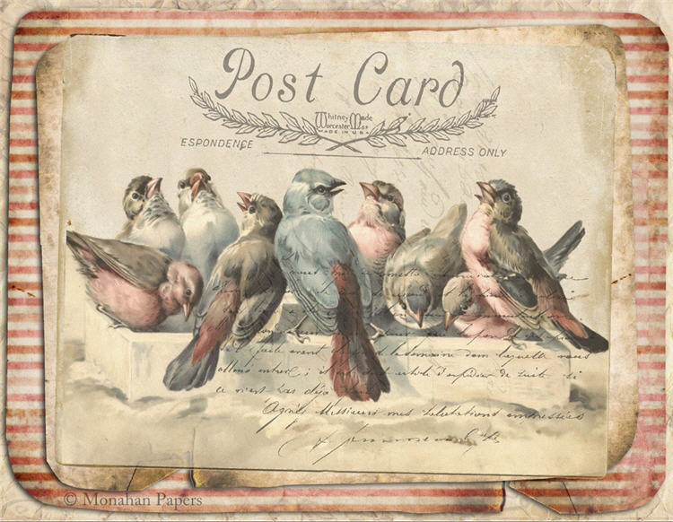 Monahan Papers - Birds, Nests & Florals Papers 11x17"