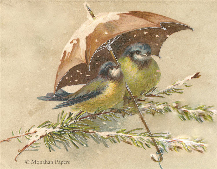 Monahan Papers - Birds, Nests & Florals Papers 11x17"
