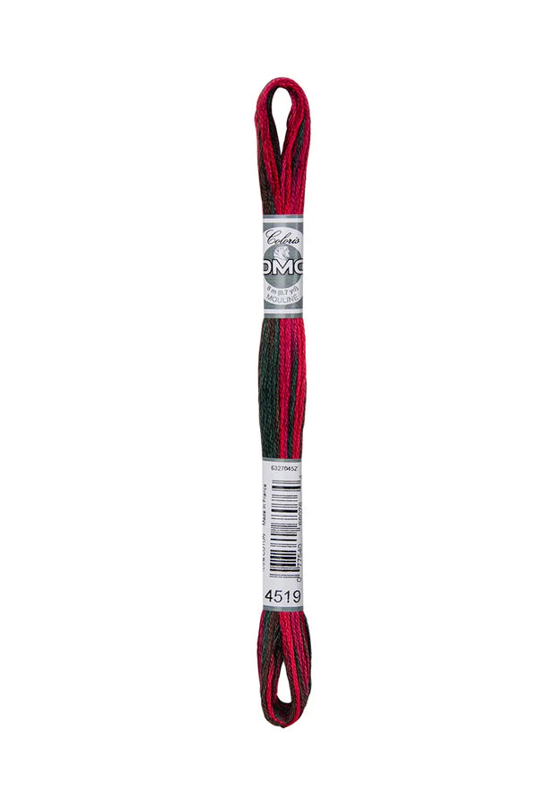 DMC Coloris 6-Strand 4500