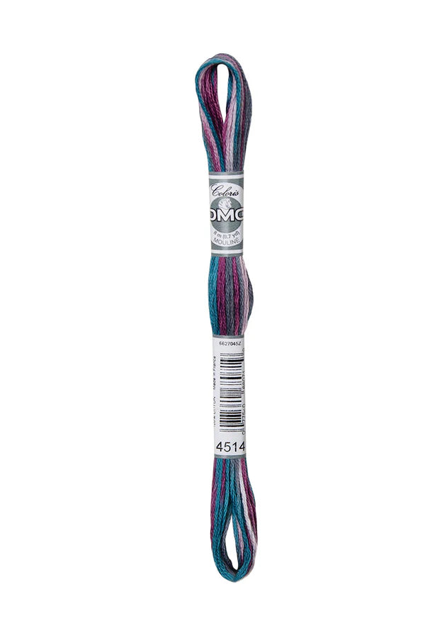DMC Coloris 6-Strand 4500