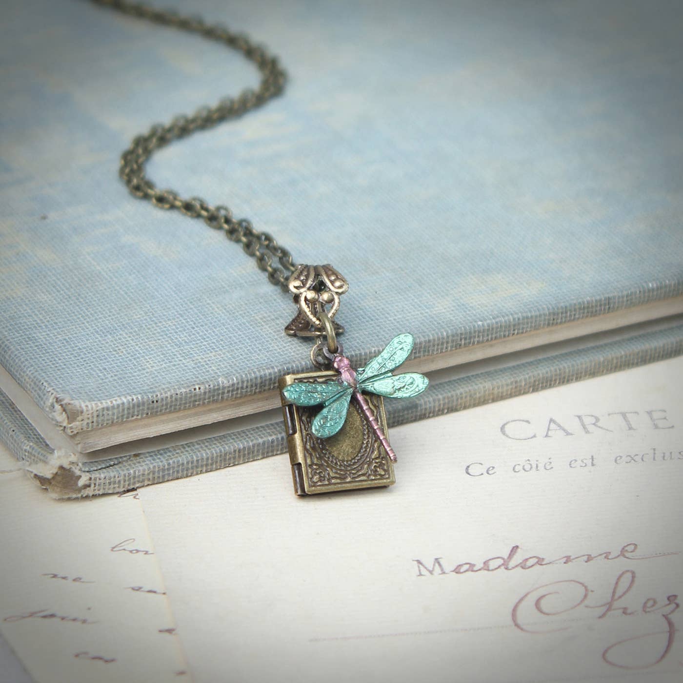 Circa 1890 - Frosty Green Dragonfly Miniature Locket Necklace
